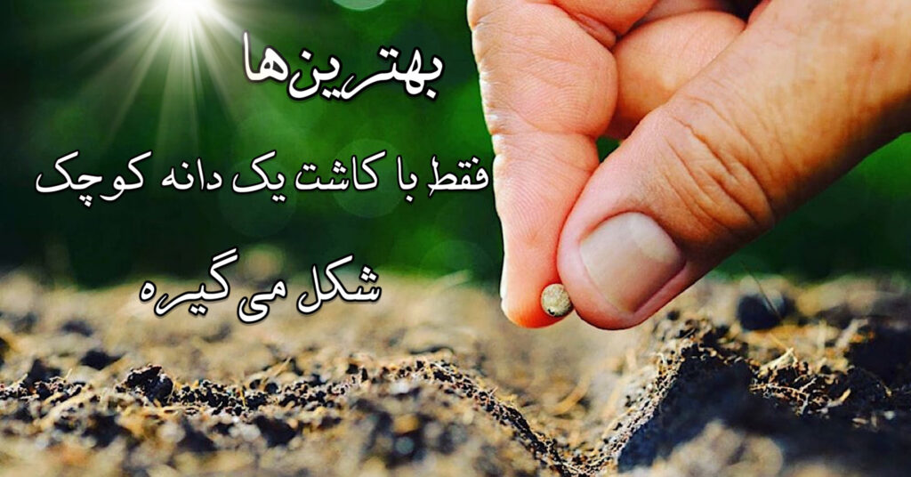 بهترینها با کاشتِ فقط یه دانهی کوچیک شکل می گیره! بهترینها با کاشتِ فقط یه دانهی کوچیک شکل می گیره!