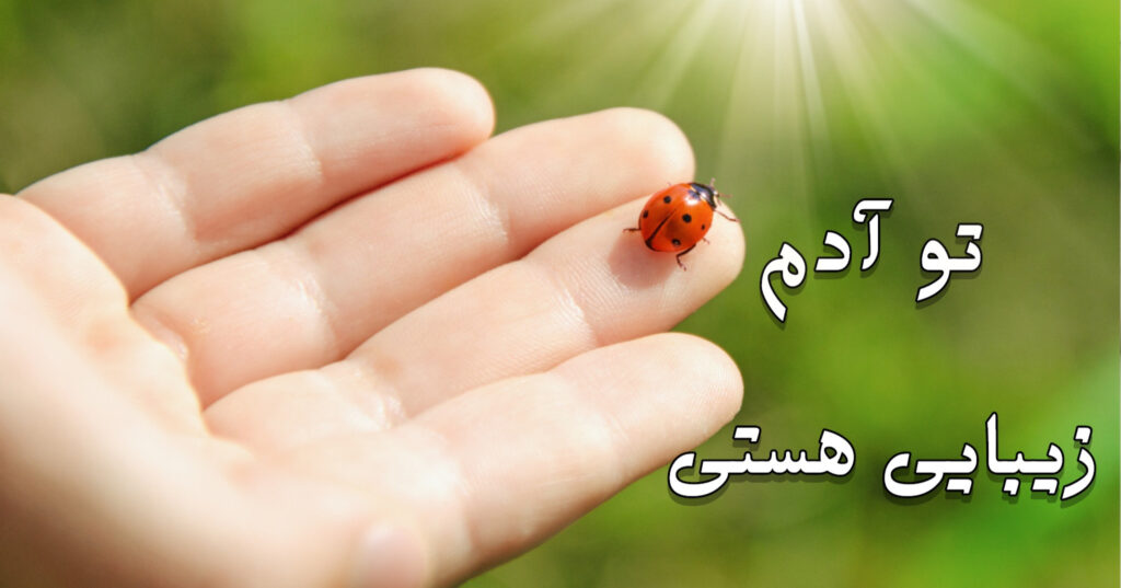 تو آدم زیبایی هستی! تو آدم زیبایی هستی!