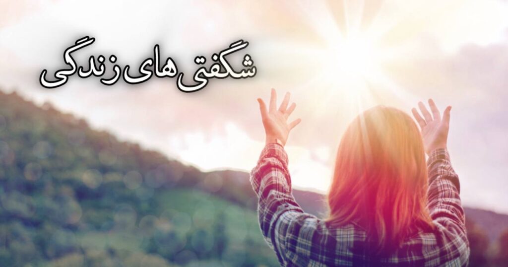 شگفتیهای زندگی شگفتیهای زندگی